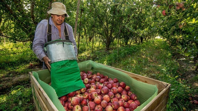 Habrá un dólar preferencial y créditos para el sector productivo afectado por el clima